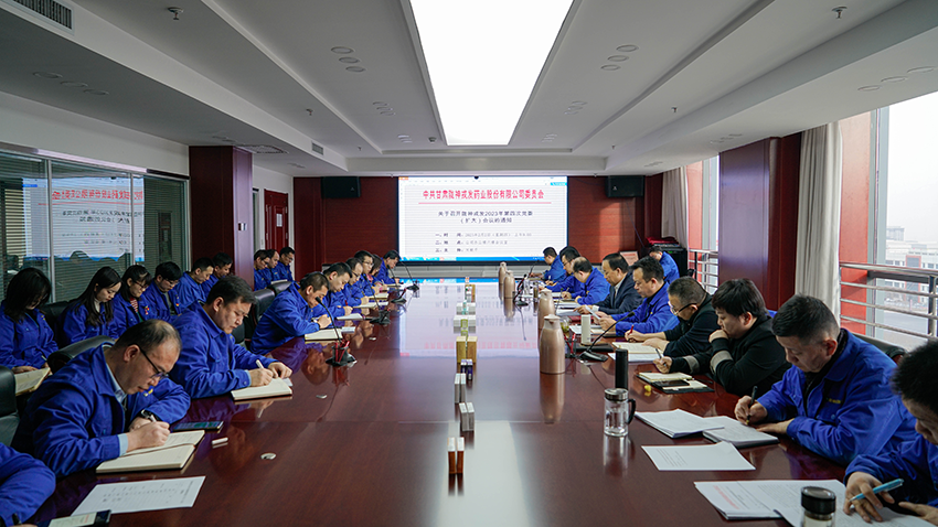 錨定目標(biāo)，鼓足干勁，決戰(zhàn)年度任務(wù)——隴神戎發(fā)組織召開2023年第四次黨委（擴(kuò)大）會(huì)議