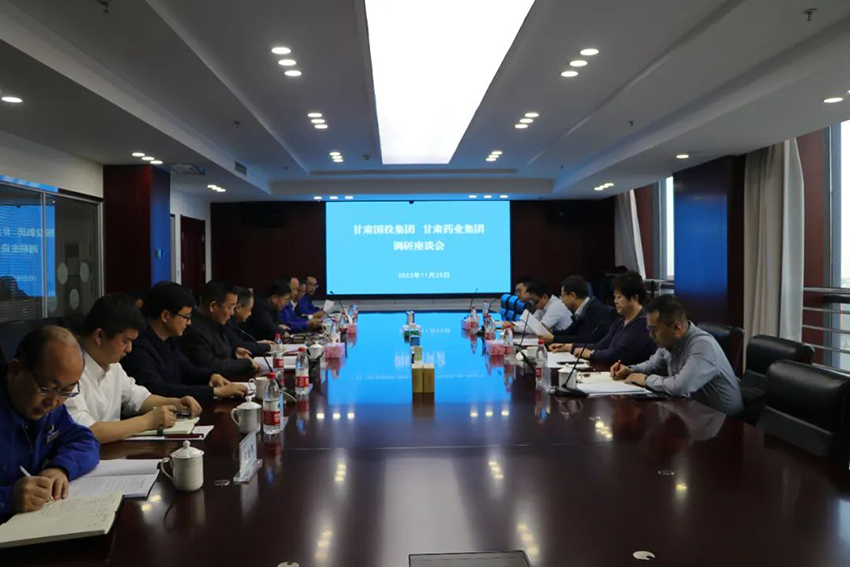 甘肅國投集團(tuán)一行深入隴神戎發(fā)調(diào)研指導(dǎo)工作