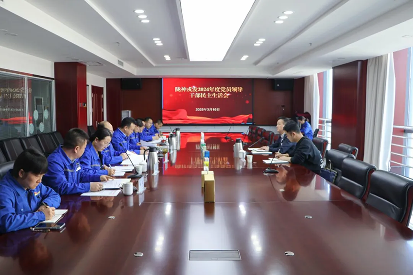 隴神戎發(fā)召開2024年度黨員領導干部民主生活會