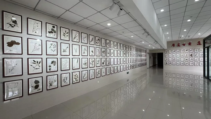 再添殊榮！甘肅隴神戎發(fā)藥業(yè)股份有限公司獲評甘肅省中醫(yī)藥文化宣傳教育基地