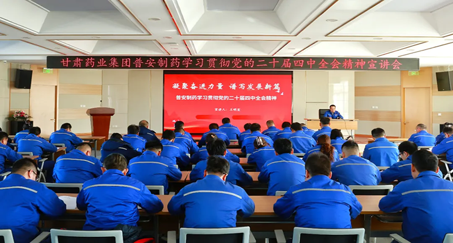 【普安新聞】凝聚奮進(jìn)力量 譜寫發(fā)展新篇——普安制藥黨委書記、董事長王明宏宣講黨的二十屆四中全會精神
