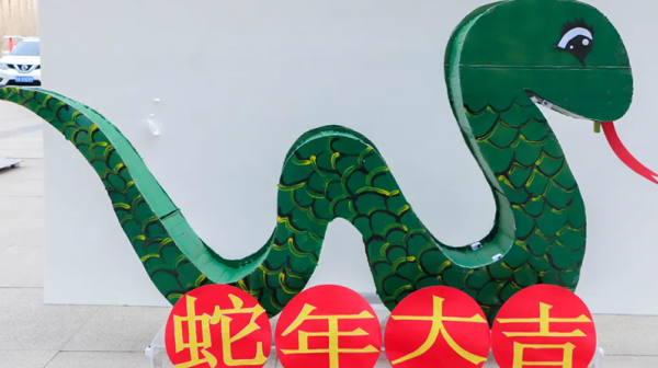 “彩燈映元宵·謎趣共團(tuán)圓”——隴神戎發(fā)元宵節(jié)文化活動(dòng)熱鬧開(kāi)展